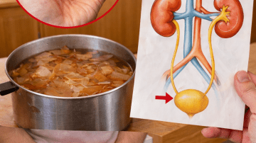 What You Need to Know About Avocado Seeds: A Simple Guide to Their Properties and Safe Uses