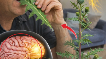 Discover How to Make and Enjoy This Traditional African Herbal Combo for Women’s Wellness in 2025