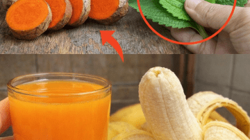 🌿 Wild Lettuce Unveiled: 30 Hidden Health Wonders Waiting in Your Backyard