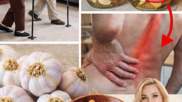 🌿 Wild Lettuce Unveiled: 30 Hidden Health Wonders Waiting in Your Backyard