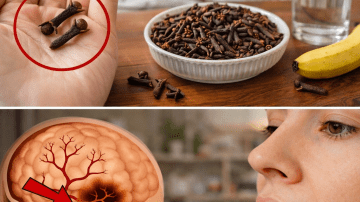 Discover the Top 10 Drinks That Could Support Your Kidney Health and Help Manage Proteinuria Symptoms Naturally