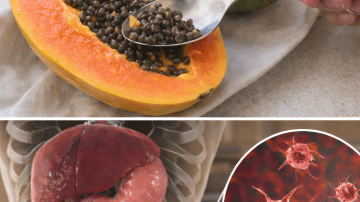 ☕ The Zero-Cost Kitchen Secret: How Coffee Grounds and Lemon Instantly Neutralize Odors and Purify Your Fridge