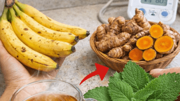 Discover 6 Nutrient-Rich Seeds That May Boost Your Body’s Natural Defenses Against Cancer Risks