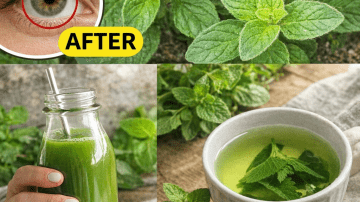 Exploring the Habits and Dietary Secrets of Japan’s Longest-Living Doctors for Vitality