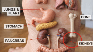 How to Incorporate a Simple Turmeric, Banana, and Ginger Drink into Your Daily Routine for Natural Wellness Support