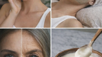 6 Powerful Seeds and Nuts That May Support Your Body’s Natural Defenses After Age 50