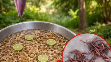 How to Make a Simple Natural Juice That Supports Healthy Blood Circulation at Home