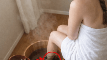 Best Protein Sources to Naturally Support Kidney Health: A Helpful Guide for Everyday Meals