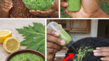 How to Easily Add Aloe Vera Water to Your Daily Routine for Better Hydration and Wellness