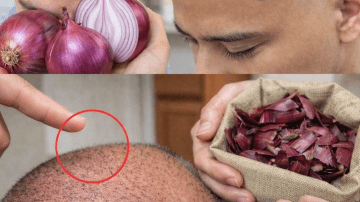 How to Incorporate Aloe Vera and Cinnamon into Your Daily Routine for Gentle Wellness Support