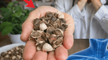 How to Easily Add Aloe Vera Water to Your Daily Routine for Better Hydration and Wellness