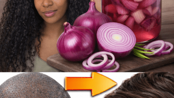 8 Lesser-Known Ways Thyme Might Support Your Well-Being After Age 40