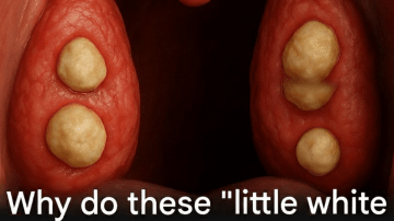 Could Soaking Dates Overnight in Water Be the Simple Daily Habit Your Body Has Been Missing?