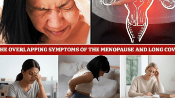 How to Explore Household Items Like Mint Toothpaste for Deterring Common Pests at Home