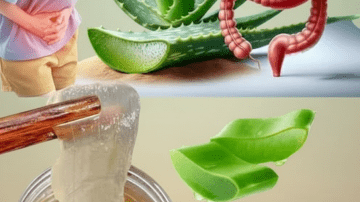 How to Use Garlic as a Simple Home Tip for Deterring Common Household Pests Naturally