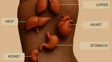 How to Try a Simple Chamomile, Apple Cider Vinegar, and Salt Foot Soak for Foot Comfort