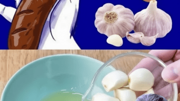 The Invisible Burden: How One Golden-Green Drink Quietly Resets Your Body’s Filters & Unleashes Your True Energy After 50