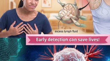 Explore the Top 12 Foods to Include in Your Diet for Healthy Kidney Support and Better Health