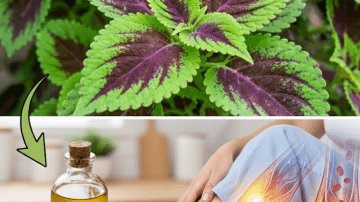 A Simple 3-Ingredient Homemade Remedy to Help Soothe Everyday Aches and Soreness