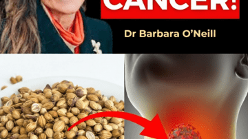 Exploring Simple Ways to Incorporate Onions into Your Routine for Better Breathing and Lung Support at Home