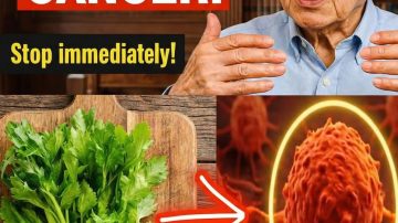 ⚡ The Nerve Rebuilder: Sip This Daily Elixir to Fight Tingling, Burning, and Nerve Damage Naturally