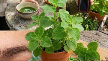 Discover These 15 Practical Tricks with Baking Soda That Every Woman Should Know for Everyday Needs