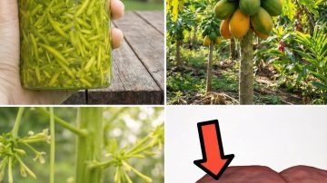 Could a Simple Evening Habit with Onion Peels Support Your Prostate and Bladder Health?