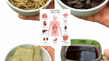 Master Tonic: The Simple, Warming Drink to Boost Immunity and Daily Energy