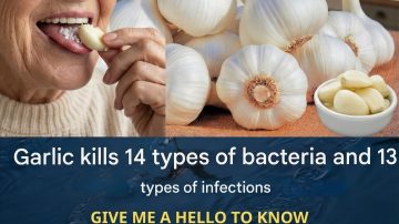 How to Incorporate Aloe Vera and Cinnamon into Your Daily Routine for Gentle Wellness Support