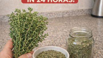 Discover 6 Simple Morning Habits That Can Help Support Your Kidney Health Naturally