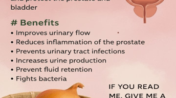 How to Explore Household Items Like Mint Toothpaste for Deterring Common Pests at Home