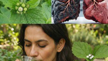 👑 The Longevity Bloom: 9 Revolutionary Reasons Banana Blossom Is the Ultimate Superfood