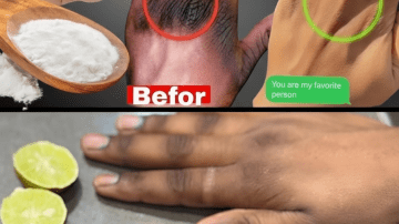 Exploring the Habits and Dietary Secrets of Japan’s Longest-Living Doctors for Vitality