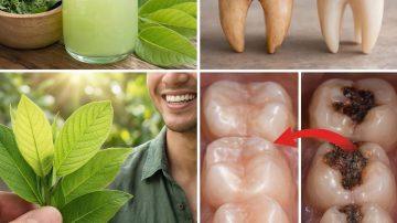 Discover a Simple 5-Minute Clove Ritual Many People Enjoy for Daily Relaxation