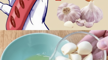 A Simple Guide to Exploring Eggshell Powder as a Natural Option for Brighter Teeth and Oral Care