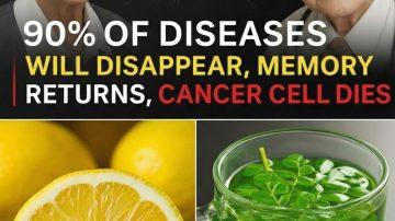 Navigating Protein Choices: A Senior’s Guide to Supporting Kidney Health