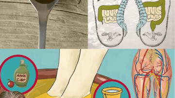 Discover the Natural Wonders of Peach Gum: 15 Ways It Can Support Your Daily Wellness Routine