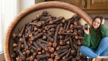 Discover 12 Natural Foods That May Support Your Body’s Parasite Cleansing Efforts in Everyday Meals