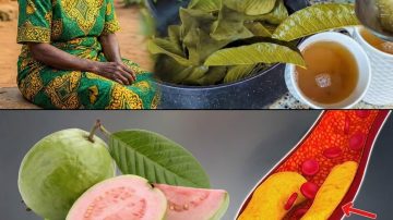 🌴 The Ultimate Superfruit: Why 3 Dates a Day Could Keep the Doctor Away