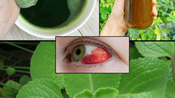 How to Incorporate a Simple Parsley, Kale, and Lime Smoothie into Your Morning Routine for Better Daily Nutrition