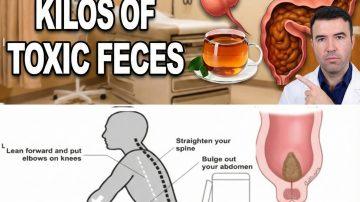 What You Need to Know About Exploring the Traditional Uses of Euphorbia Hirta (Asthma Plant)