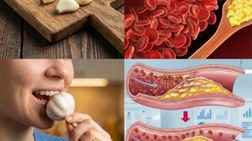 4 Healthy Fats That May Support Kidney Health and 4 Fats to Limit for Better Wellness