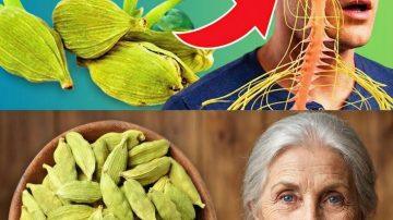 Have You Considered Adding Turmeric Green Tea to Your Daily Habits? Here’s What Science Says About Its Potential Wellness Benefits