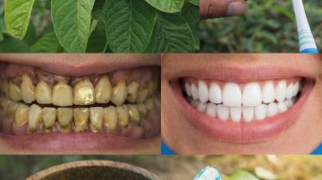 👑 The Golden Threads: 30 Astonishing Health Benefits of Corn Silk (Nature’s Hidden Kidney Treasure)