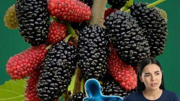 How to Try a Simple Chamomile, Apple Cider Vinegar, and Salt Foot Soak for Foot Comfort