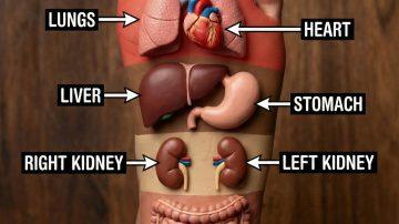 Discover the Top 3 Vitamins That May Support Circulation and Intimacy for Individuals with Diabetes