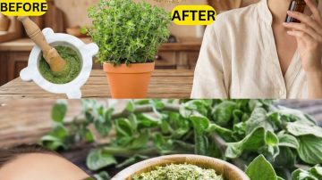 How to Handle Heart Attack Symptoms When Alone After Age 60: 7 Practical Steps for Seniors