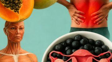 The Aging Secret: Why These Six Seeds Are Essential for Seniors’ Cellular Health