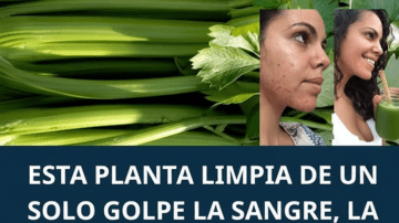 🌪️ 7 Foods That Explode Mucus Instantly (Natural Decongestants)