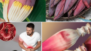 🌪️ 7 Foods That Explode Mucus Instantly (Natural Decongestants)